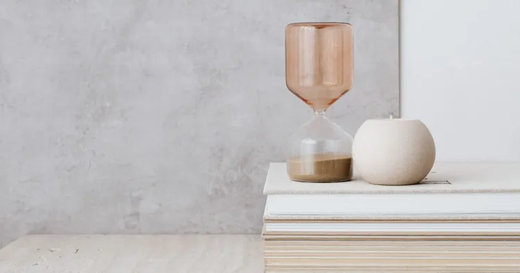 Domáca organizácia