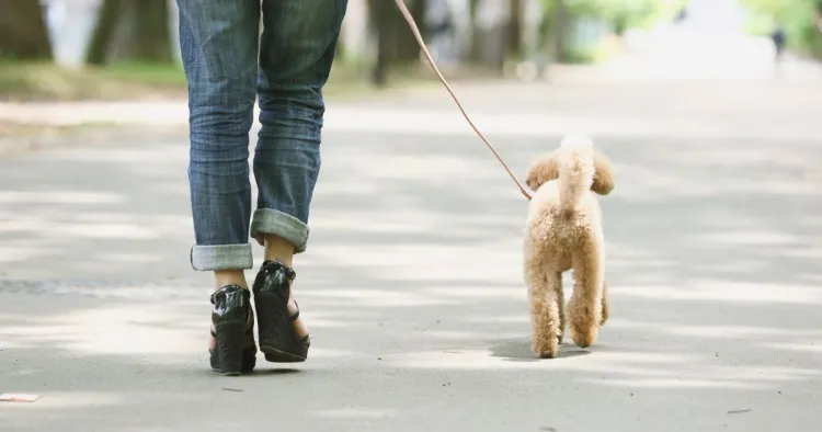 Marcher comme une habitude