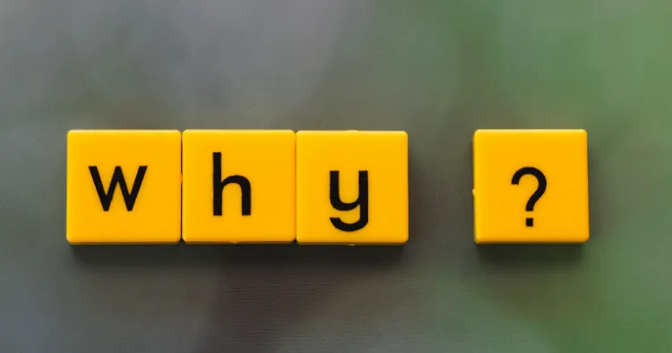 Pourquoi dans la carrière
