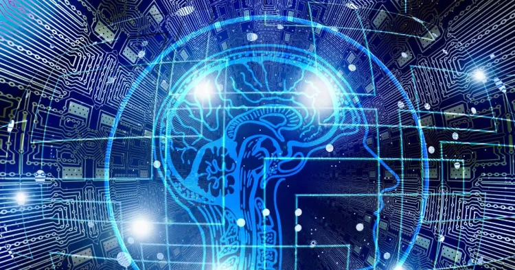 Activité cérébrale