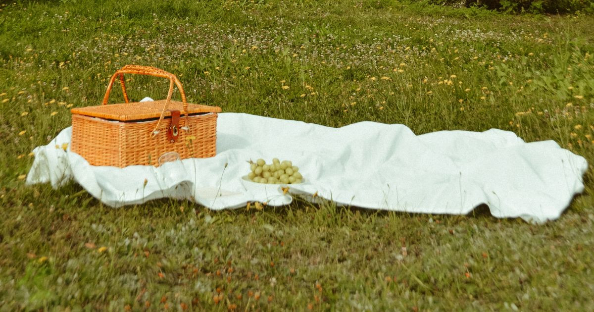 Mets de côté ton mobile, prends une couverture : Découvrez la magie d'une journée hors ligne et développez vos hobbies.