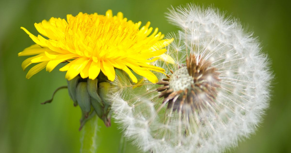 From Adversity to Strength: How to Transform Traumatic Experiences into Personal and Professional Growth