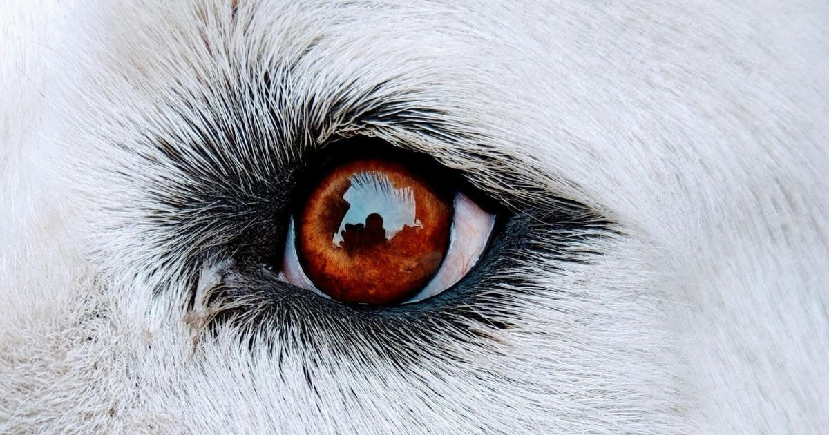 Celoživotná zručnosť: Ako vo všímavosti nájsť kľúč k osobnému a profesionálnemu rastu každý deň