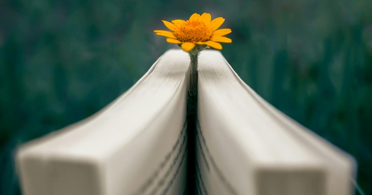 Pourquoi répétons-nous les mêmes schémas de comportement ? Psychologie des habitudes sociales