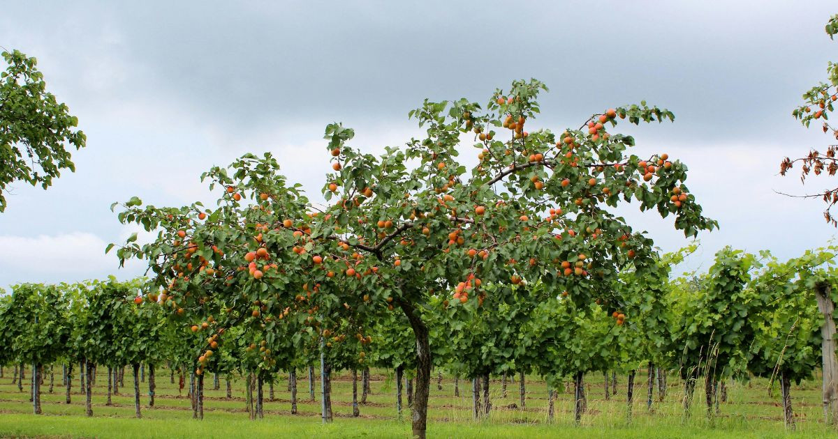 How to know that the time for change has come