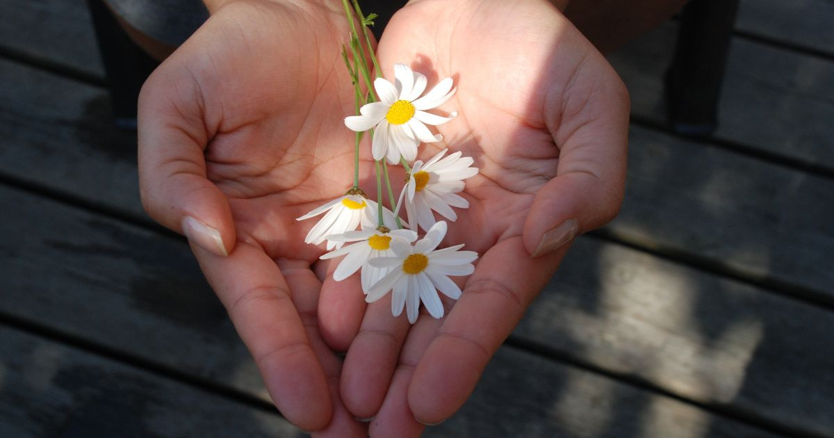 Découvrez votre espace mental et transformez votre philosophie personnelle en système de valeurs.