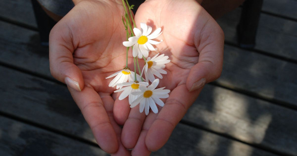 Unlock the potential of your children: How memory and learning lead to self-realization and personal growth
