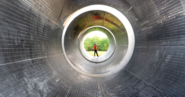 How to Become a Bold Leader: Overcome Fear and Embrace Failure as Your Best Teacher on the Path to Success