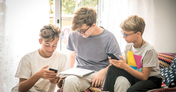 Digital literacy and information processing: Critical thinking as the key to personal growth during puberty