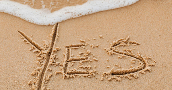 Responsible consumption on the internet: How to properly share and agree to content without consequences