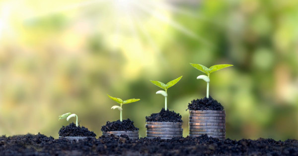 Mikrok étapes vers une mentalité de croissance : Petites changements, grands résultats