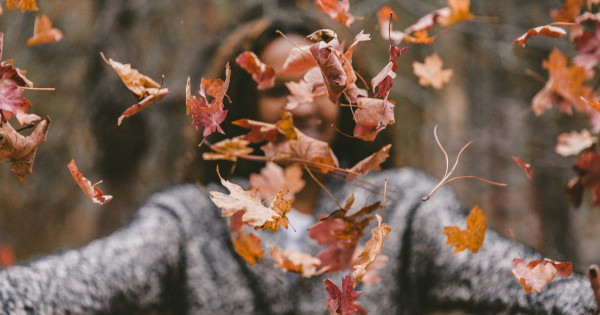 Mental resilience as the key to a successful transition to a new life phase in the years 41 – 60