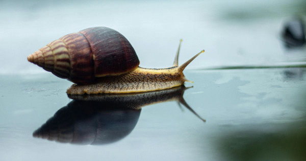 Symbolique de la patience : que signifie pour nous attendre avec calme ?