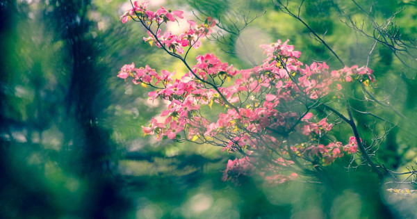 Kulturowe myślenie: Jak środowisko kształtuje nasze opinie i decyzje