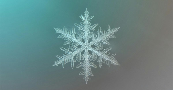 Unicité comme don : Comment la reconnaître et l'utiliser