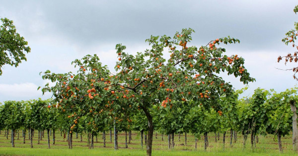 Comment savoir que le moment du changement est arrivé