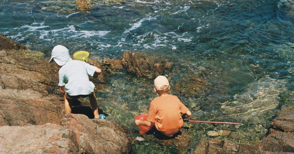 Descubriendo el mundo a través de los ojos de los niños de 7 a 9 años