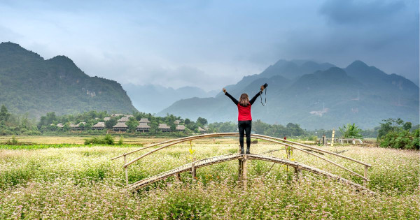 Discover Your Authentic Power: How to Overcome Stagnation and Ignite Personal Growth