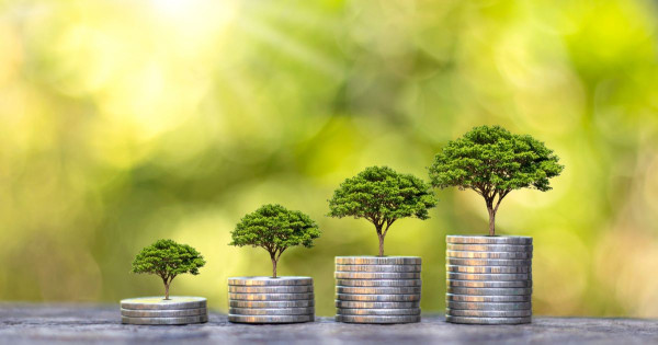 18 – 25 years: Financial independence and investing in Czech